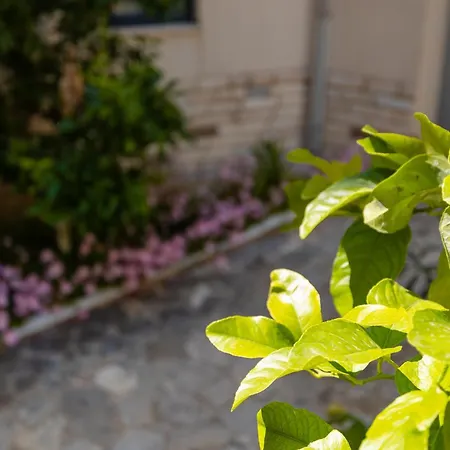 Velora Blue Coast Apartmán Vlorë